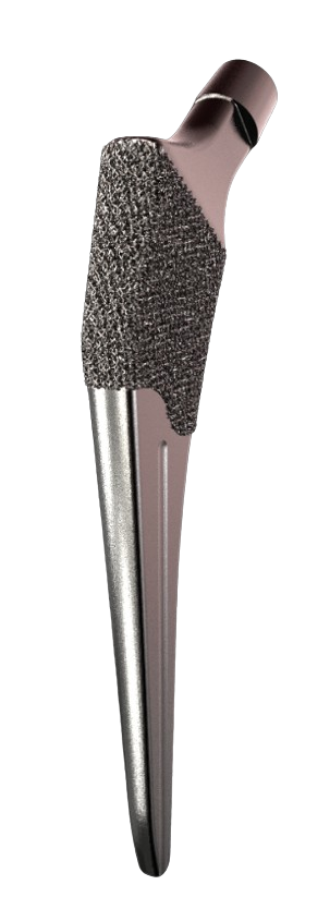 Tallo No Cementado Cyclon 2